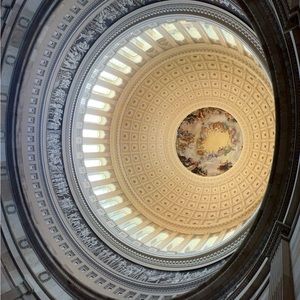 Meet your Posher, Dylan